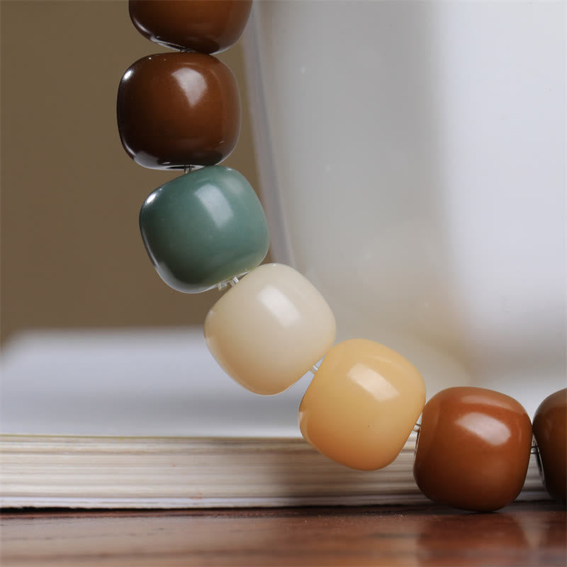 Fortune Jewel Multicolored Bodhi Seed Keep Away Evil Spirits Bracelet
