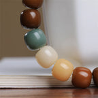 Fortune Jewel Multicolored Bodhi Seed Keep Away Evil Spirits Bracelet