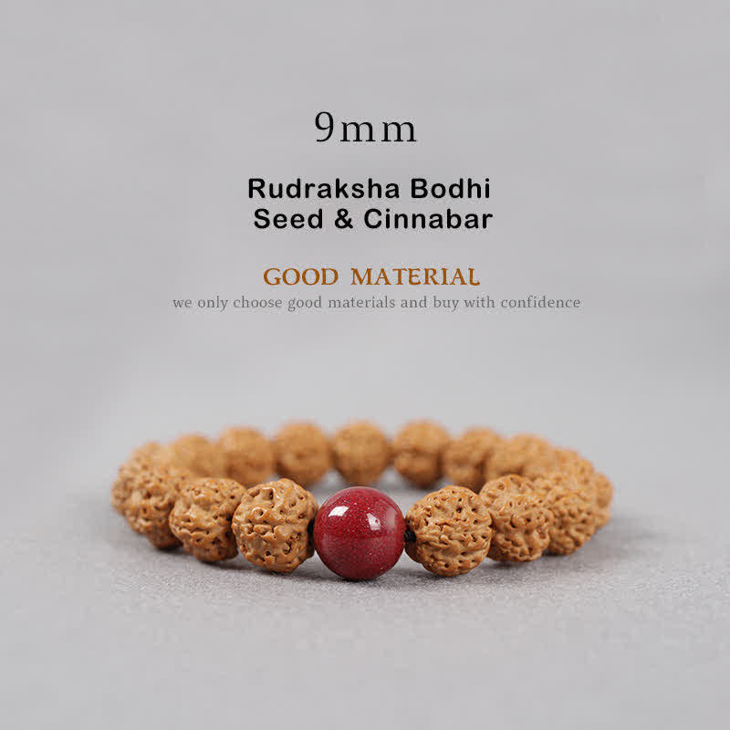 Fortune Jewel Tibet Rudraksha Bodhi Seed Dzi Bead Amber Turquoise Wealth Bracelet