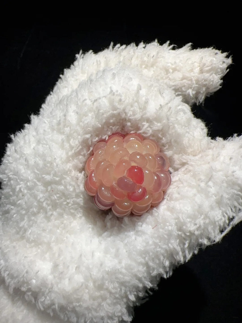 Jelly-Like Clear Natural Corn Charms for Fidgeting
