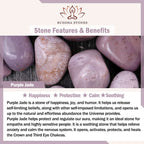 Fortune Jewel Natural Purple Jade Fox Charm Happiness Bracelet