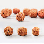 Fortune Jewel Tibet Rudraksha Bodhi Seed Wealth Auspiciousness Bracelet