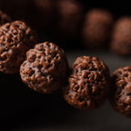Premium Natural Rudraksha Double Dragon Pattern Bracelet Prayer Bracelet