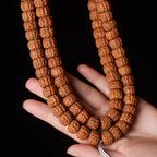 Natural Rudraksha Double Dragon Pattern 108 Mala Beads Prayer Beads