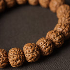 Natural Rudraksha Pumpkin Double Dragon Bracelet, 13-16mm Beads
