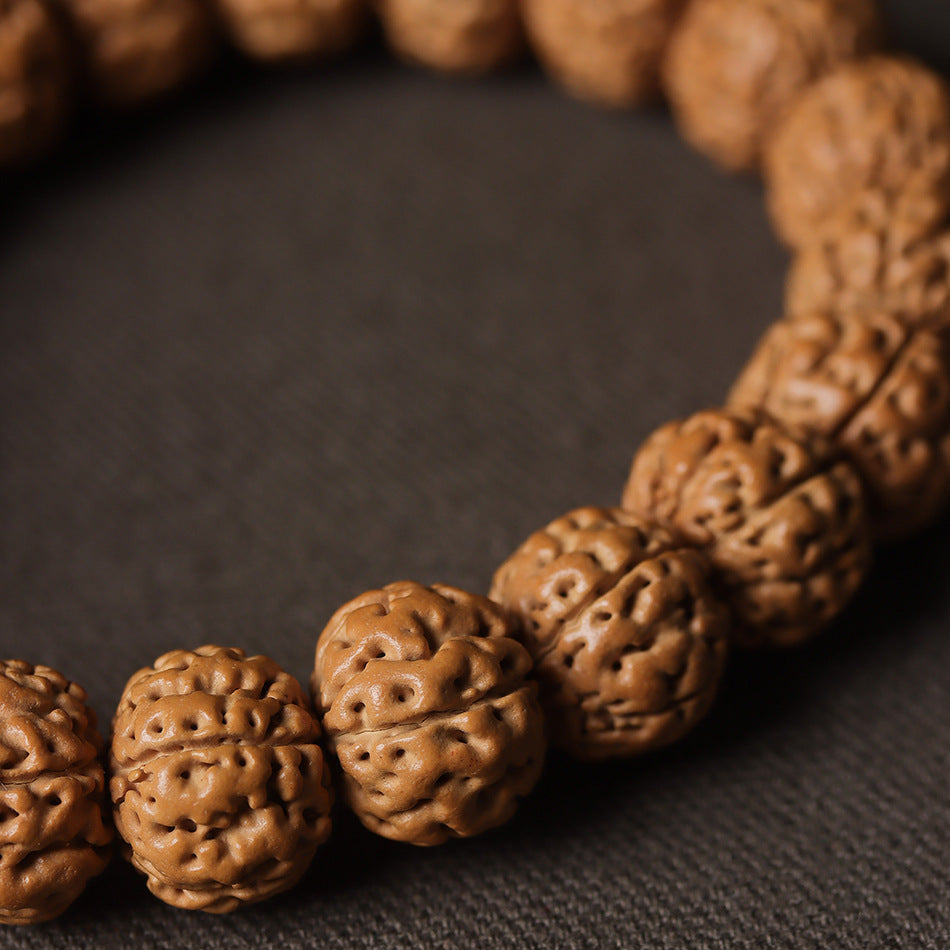 Natural Rudraksha Pumpkin Double Dragon Bracelet, 13-16mm Beads