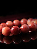 Buddha3bodhi Natural Camel Bone Round Bead Buddha Bracelet