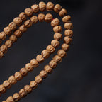 Tibetan Cypress Seed 108 Mala Beads – High Oil Ghost Face Prayer Bracelet