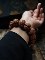 Nepal Dragon Claw Large Rudraksha Bodhi Bead Bracelet