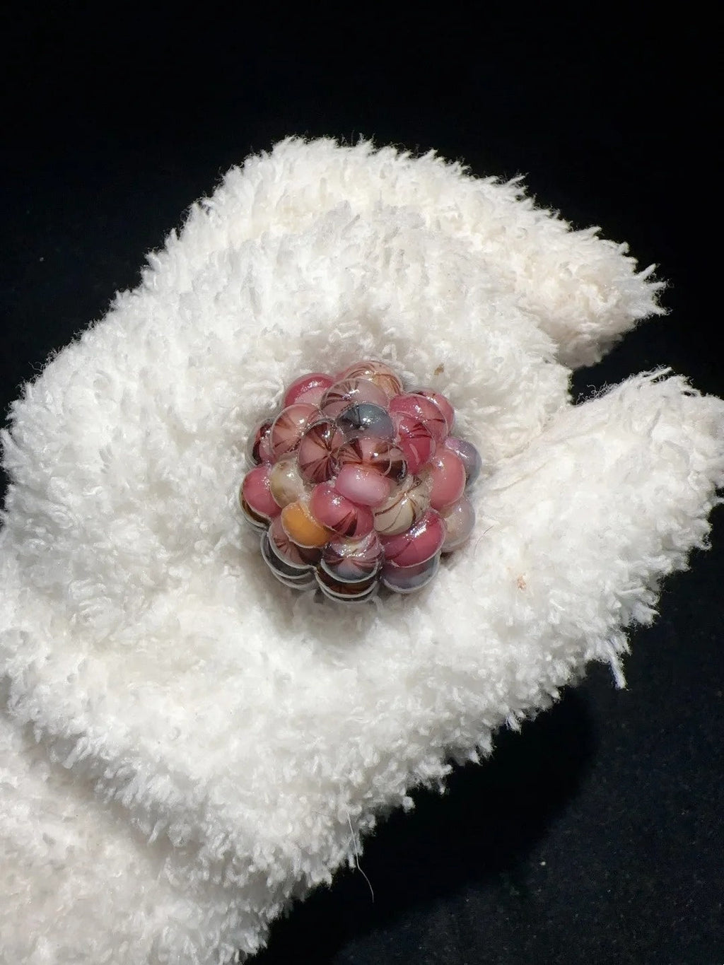 Colorful Bean & Black Vein Cracked Natural Corn Charms