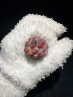 Colorful Bean & Black Vein Cracked Natural Corn Charms