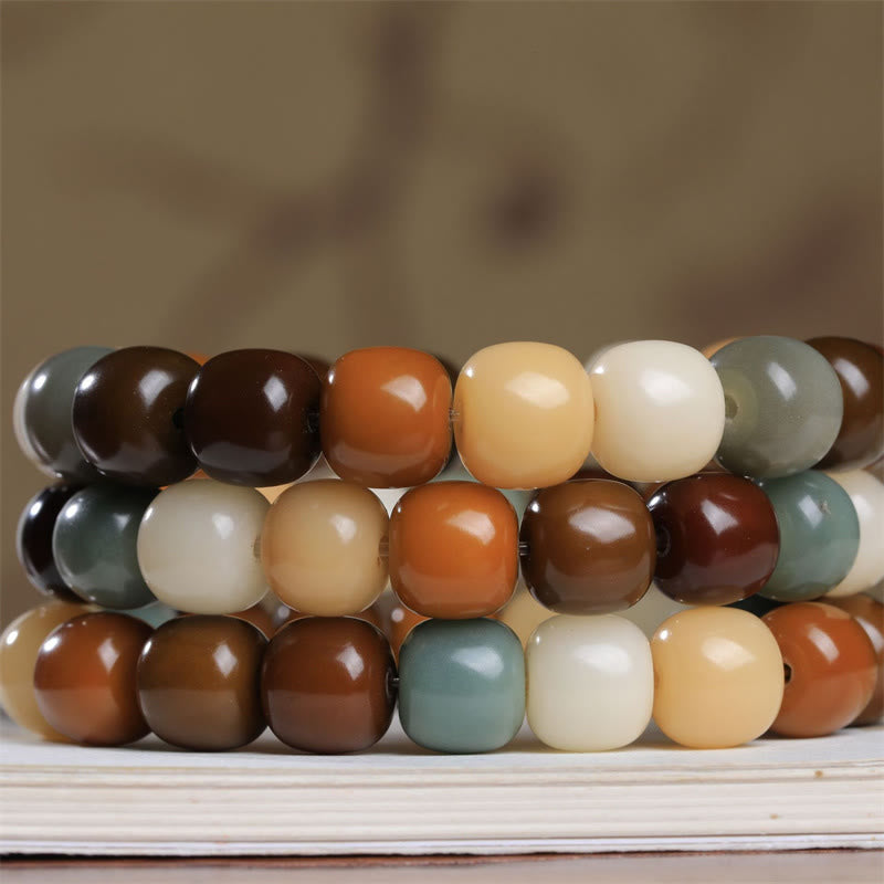 Fortune Jewel Multicolored Bodhi Seed Keep Away Evil Spirits Bracelet