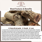 Fortune Jewel Natural Peach Wood Bead Luck Braided Bracelet Anklet