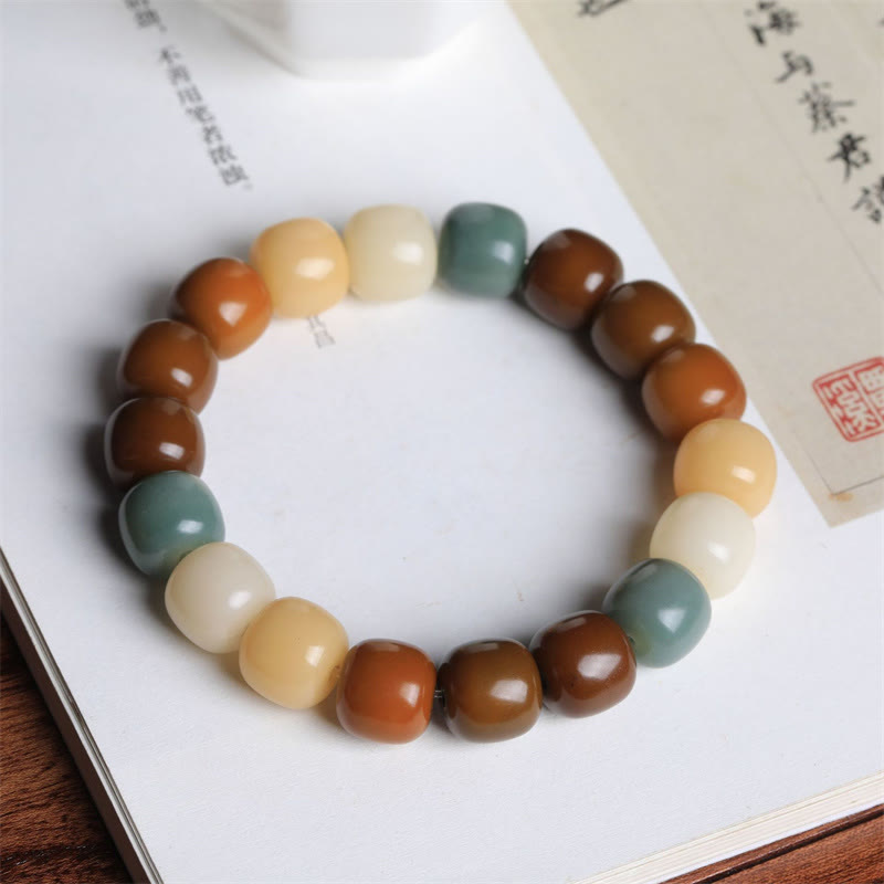 Fortune Jewel Multicolored Bodhi Seed Keep Away Evil Spirits Bracelet