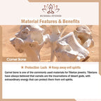 Fortune Jewel Natural Tibetan Camel Bone Swastika Dzi Bead Shankha Buddha Charm Kirtimukha Luck Protection Tassel Bracelet