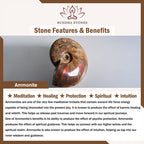 Fortune Jewel Natural Ammonite Fossil Snail Pattern Meditation Healing Necklace Pendant