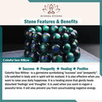Fortune Jewel "Cheers to Fortune and Protection" PiXiu Bracelet Includes Gift Message Card Fortune Jewel