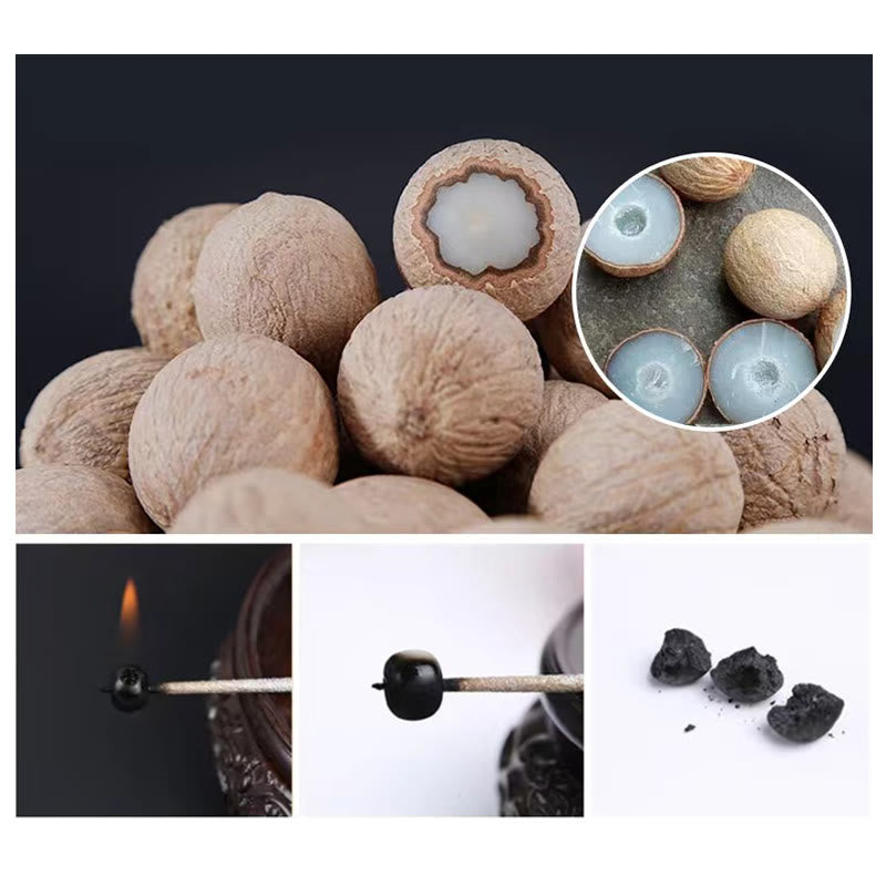 Fortune Jewel Natural Bodhi Seed Red Agate Bodhi Calm Harmony Engraved Pumpkin Bead Lotus Bracelet
