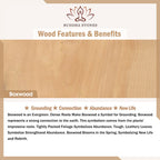 Fortune Jewel Natural Gradient Bodhi Seed Fortune Money Bag Lotus Wisdom Tassel Wrist Mala Fortune Jewel