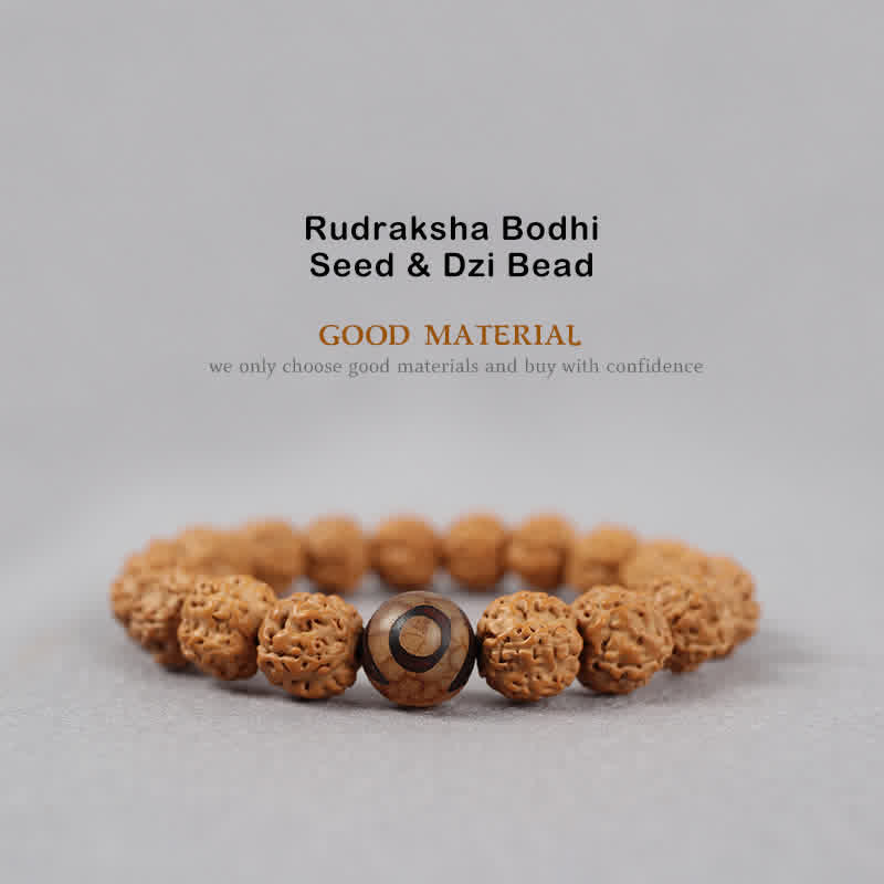 Fortune Jewel Tibet Rudraksha Bodhi Seed Dzi Bead Amber Turquoise Wealth Bracelet