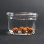 Fortune Jewel Tibet Rudraksha Bodhi Seed PiXiu Copper Coin Wealth Luck Bracelet