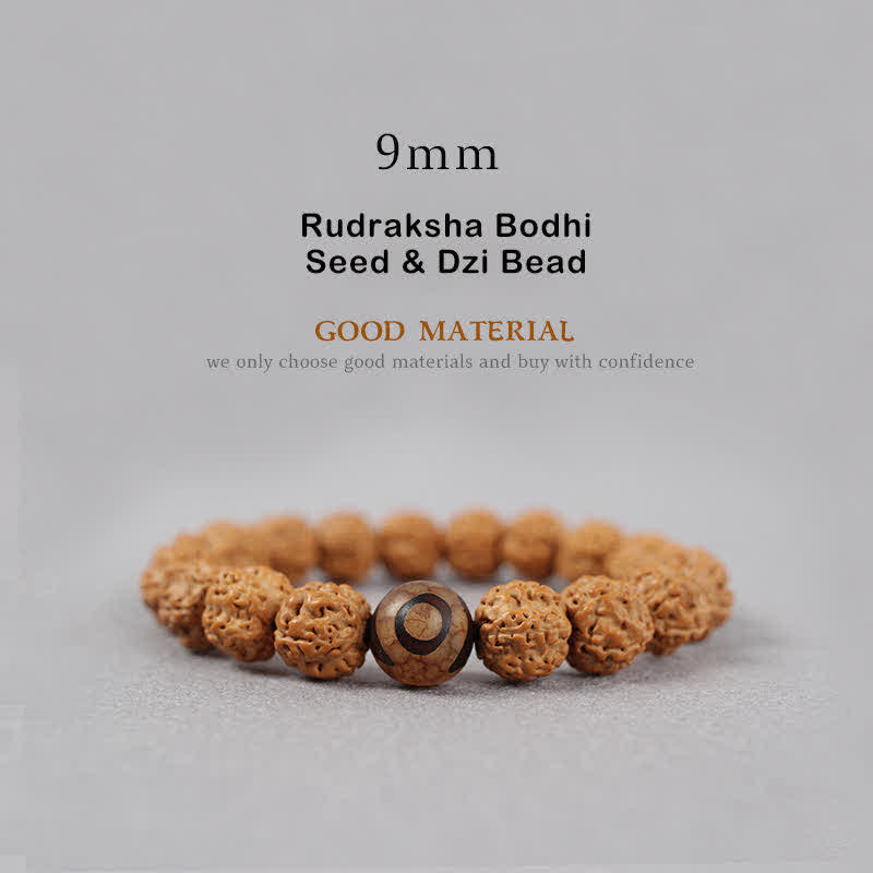 Fortune Jewel Tibet Rudraksha Bodhi Seed Dzi Bead Amber Turquoise Wealth Bracelet
