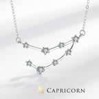 Fortune Jewel 925 Sterling Silver 12 Constellations of the Zodiac Astrology Blessing Necklace Pendant